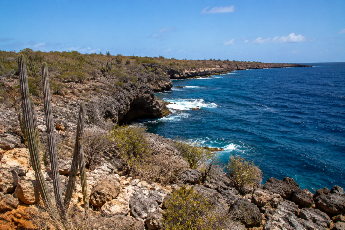 Aruba's rocky coastline with cacti and blue sea