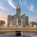 EasyTripGo Saudi Arabia eSIM - Travel Data Plan with 4G 5G coverage